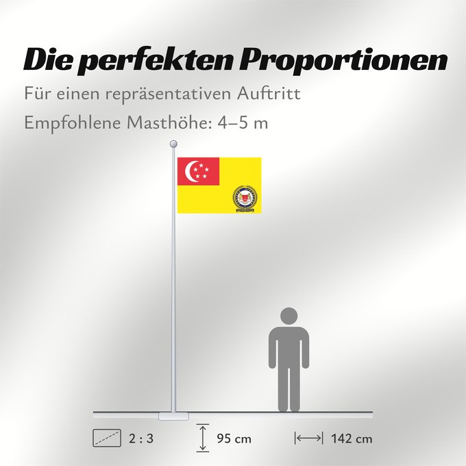 Proportionen der Flagge: Singapore Army Service