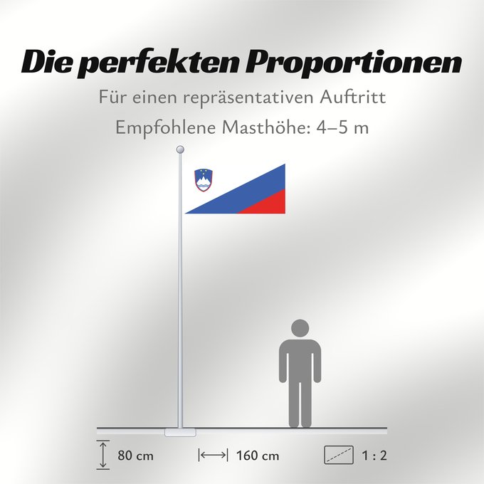 Proportionen der Flagge: Slovenia Flag proposal	Proposed national flag of Slovenia  2003