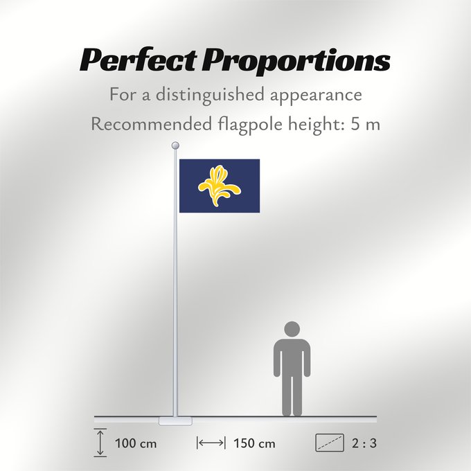Flag Proportions: Brussels-Capital Region 1991–2015 Brussels-Capital Region between 1991 and 2015 Brüssel Bruselas Bruxelles Fändel vun der Haaptstadregioun Bréissel Прапор Брюсселю