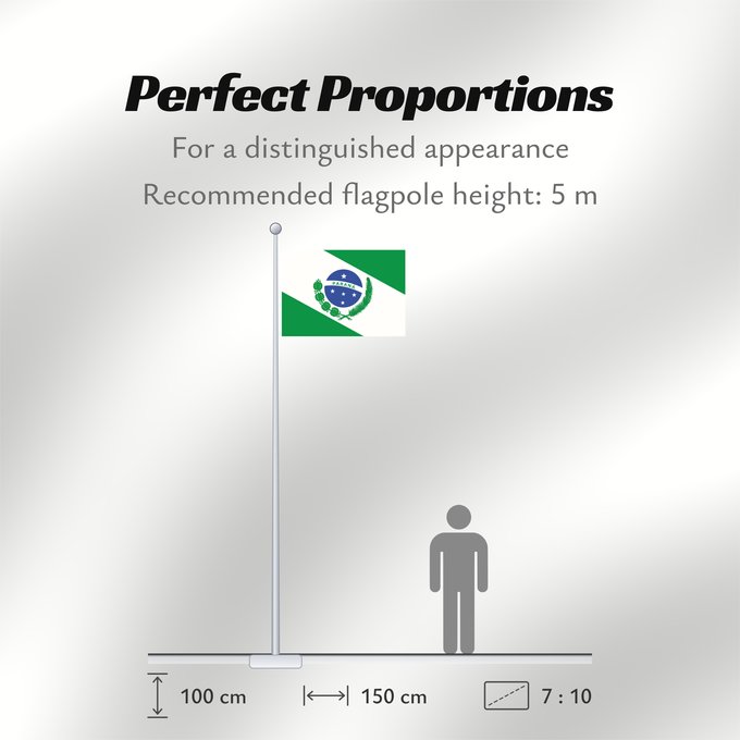 Flag Proportions: Paraná