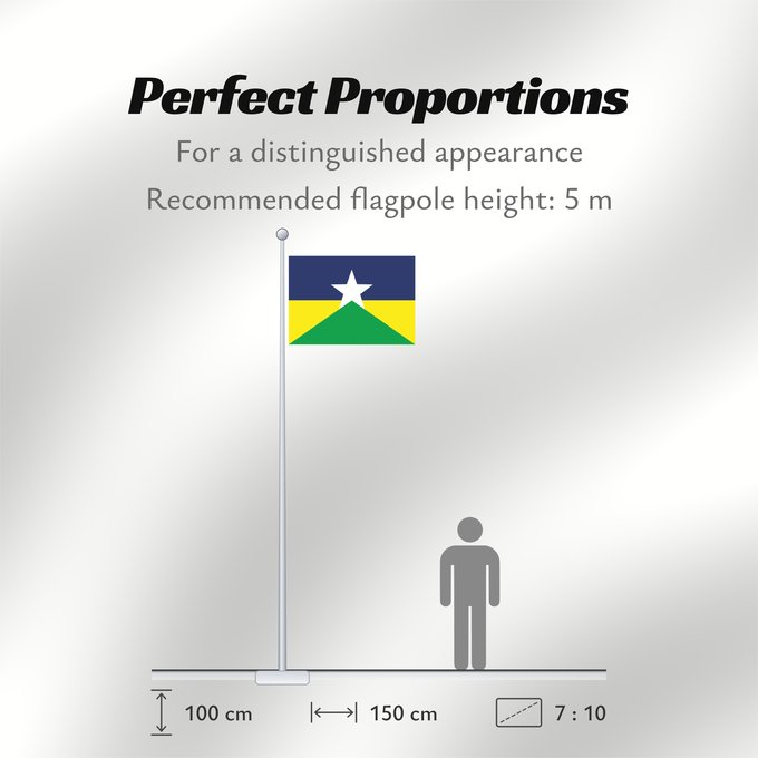 Flag Proportions: Rondônia