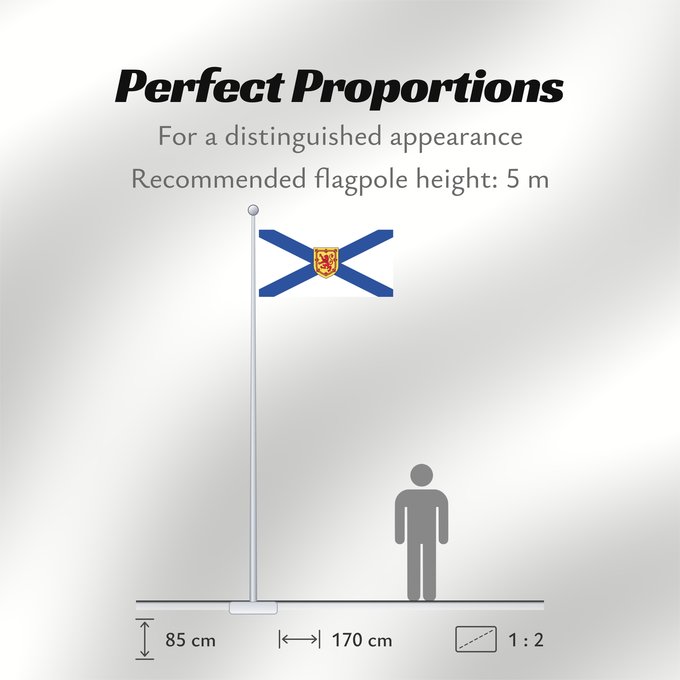 Flag Proportions: Nova Scotia Nouvelle-Écosse Nueva Escocia Banniel proviñs Skos-Nevez Nova Scotia