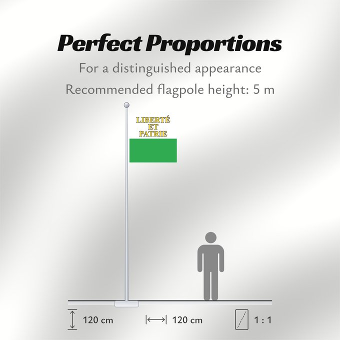 Flag Proportions: Canton of Vaud	Vaud	canton de Vaud	República y cantón de Vaud	Vaud 