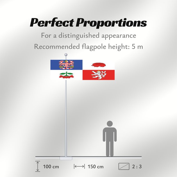 Flag Proportions: Vysocina Region Vysočina Region Région de Vysočina Región de Vysočina Region Vysočina