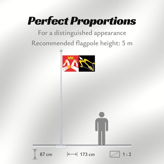 Flag Proportions: Itä-Suomen lääni