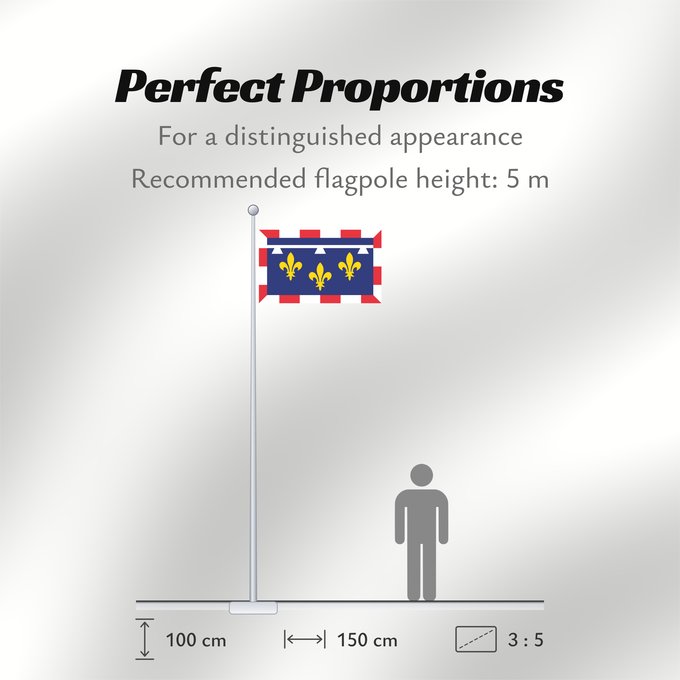 Flag Proportions: Centre-Val de Loire	Unofficial flag of Centre  region  in France	Non-officiel de la région Centre-Val de Loire en France	Centro	Centre	Banniel anofisiel Kreiz-Traoñ al Liger e Frañs