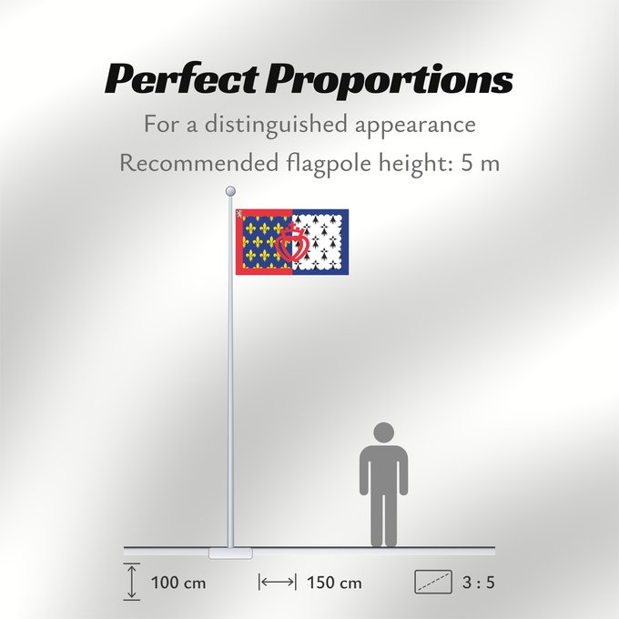 Flag Proportions: Unofficial flag of Pays-de-la-Loire Unofficial flag of the region Pays-de-la-Loire in France Non officiel de la région Pays-de-la-Loire Países del Loira Pays de la Loire Los Païses de Léger