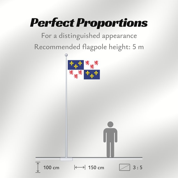 Flag Proportions: Picardie Region Picardie in France Région Picardie en France Picardo Picard