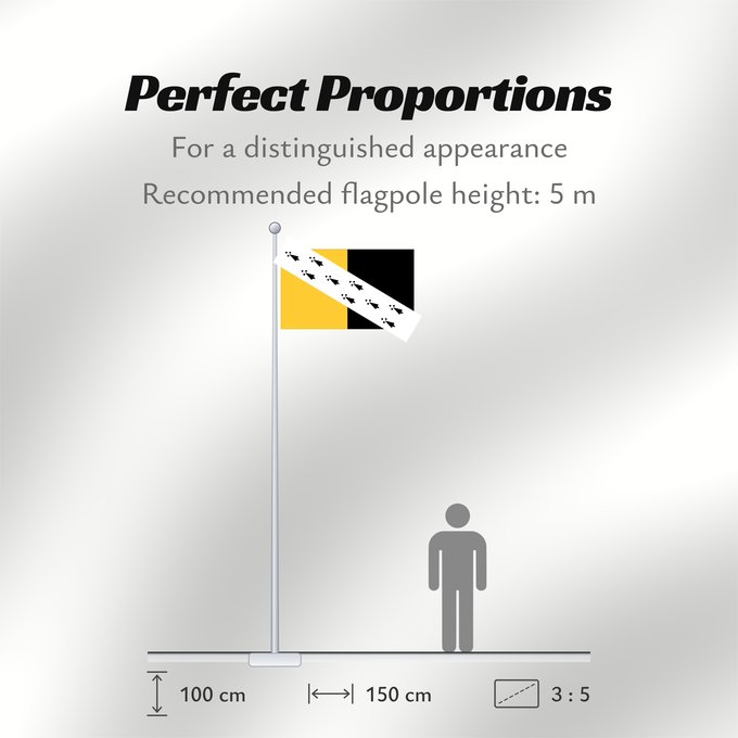 Flag Proportions: Norfolk