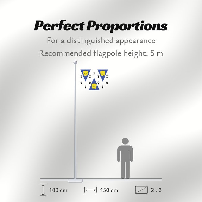 Flag Proportions: Shropshire