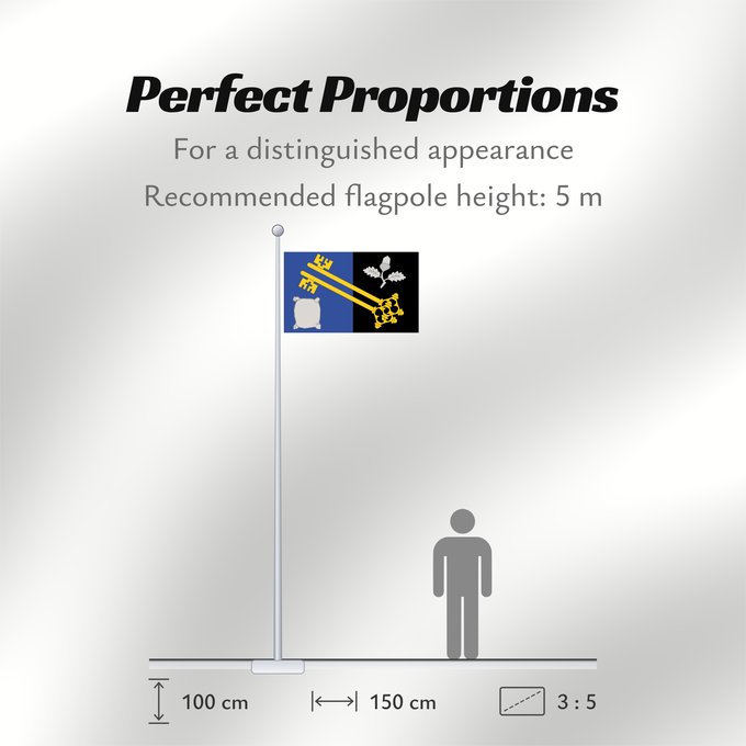 Flag Proportions: County flag of Surrey	The County Flag of Surrey	Surrey