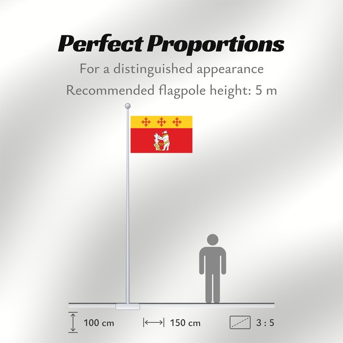 Flag Proportions: Warwickshire