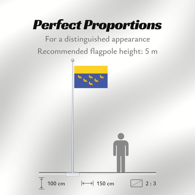 Flag Proportions: West Sussex