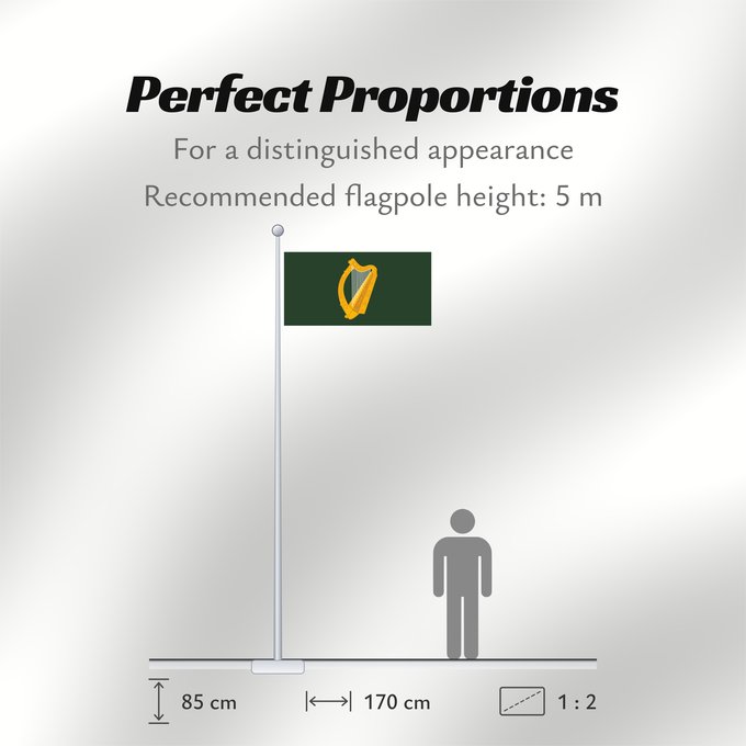 Flag Proportions: Leinster W Leinster