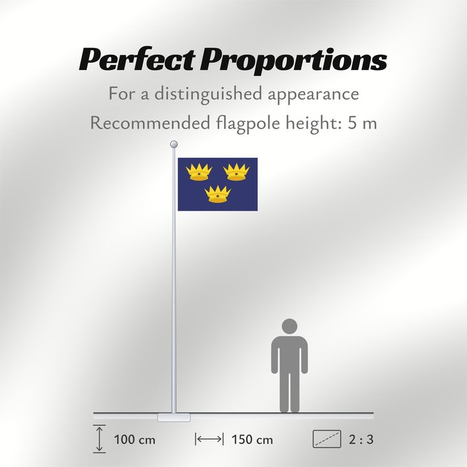 Flag Proportions: Munster