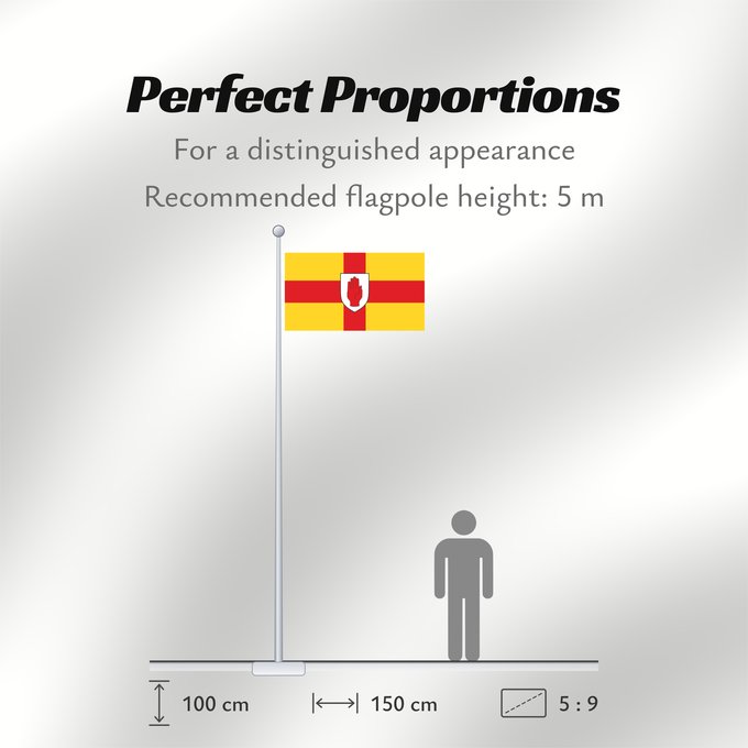 Flag Proportions: Ulster	Ulster  heraldic banner of traditional coat of arms of the province	Úlster 
