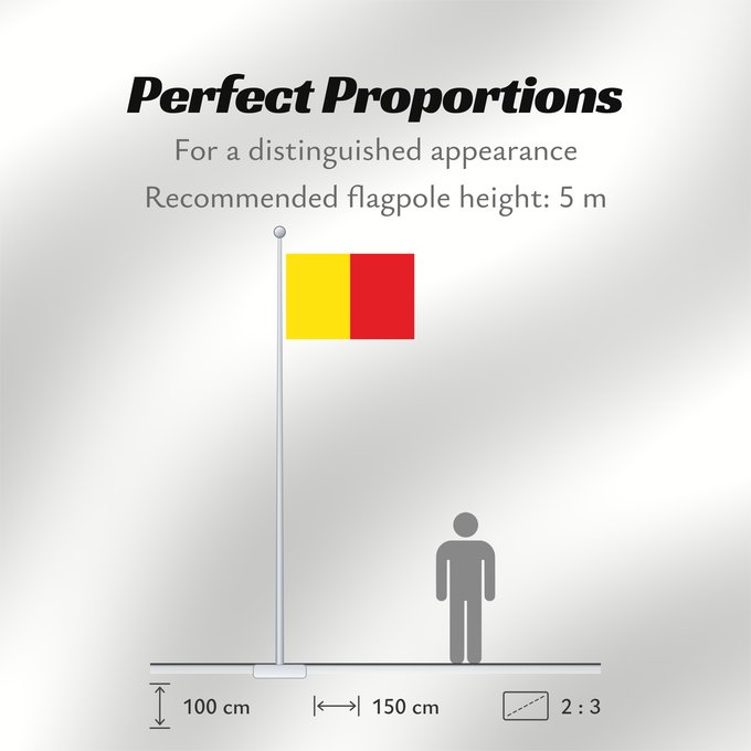 Flag Proportions: Naples Province of Naples Province de Naples Provincia de Naples Provinz Naples Napoli