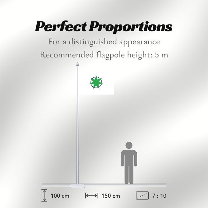 Flag Proportions: Aomori