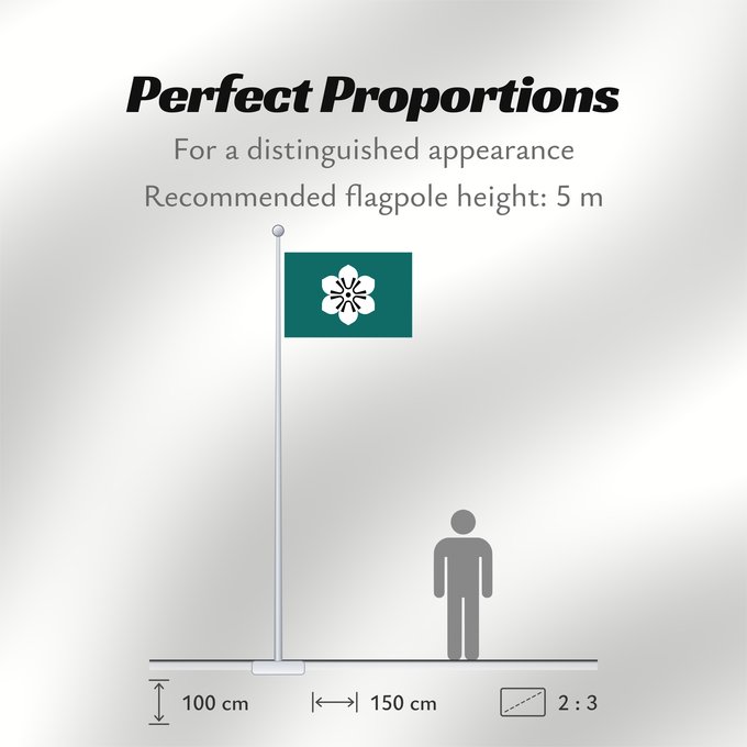 Flag Proportions: Saga Prefecture Saga Prefecture, Japan saga saga Präfektur Saga