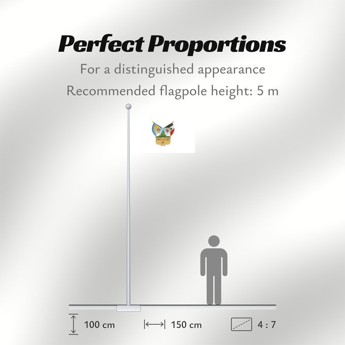 Flag Proportions: Hidalgo hidalgo y fidalgo