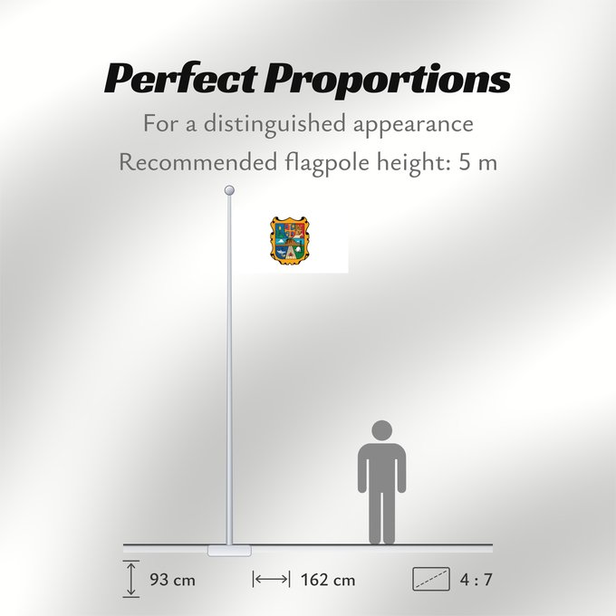 Flag Proportions: Tamaulipas