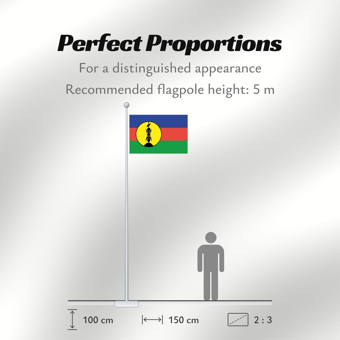 Flag Proportions: FLNKS Kanak and Socialist National Liberation Front political party Front de libération nationale kanak et socialiste Colores Pantone http //www Neukaledonien Nuova Caledonia Front d Alliberament Nacional Canac Socialista