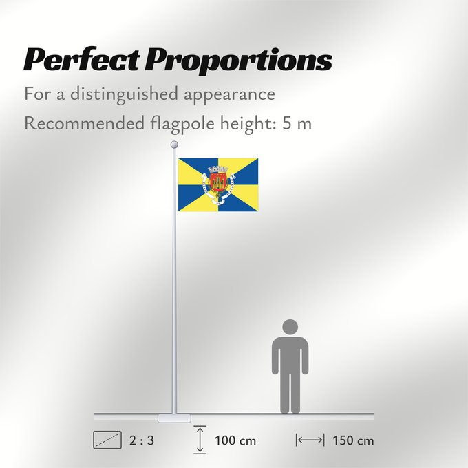 Flag Proportions: Bragança