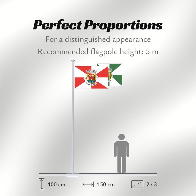 Flag Proportions: Leiria