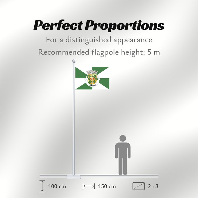Flag Proportions: Vila Real