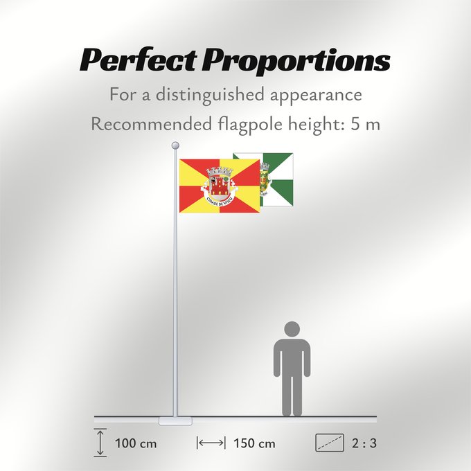 Flag Proportions: Viseu