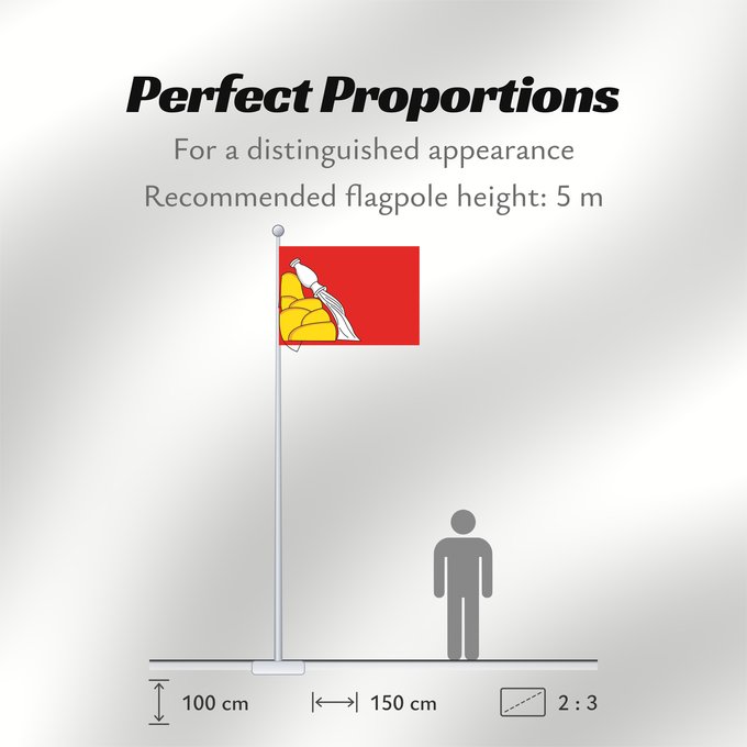 Flag Proportions: Voronezh Oblast Voronezh Oblast of Russia Oblast de Voronej Óblast de Vorónezh Oblast Woronesch Флаг Воронежской области Россия Прапор Воронезької області Росія
