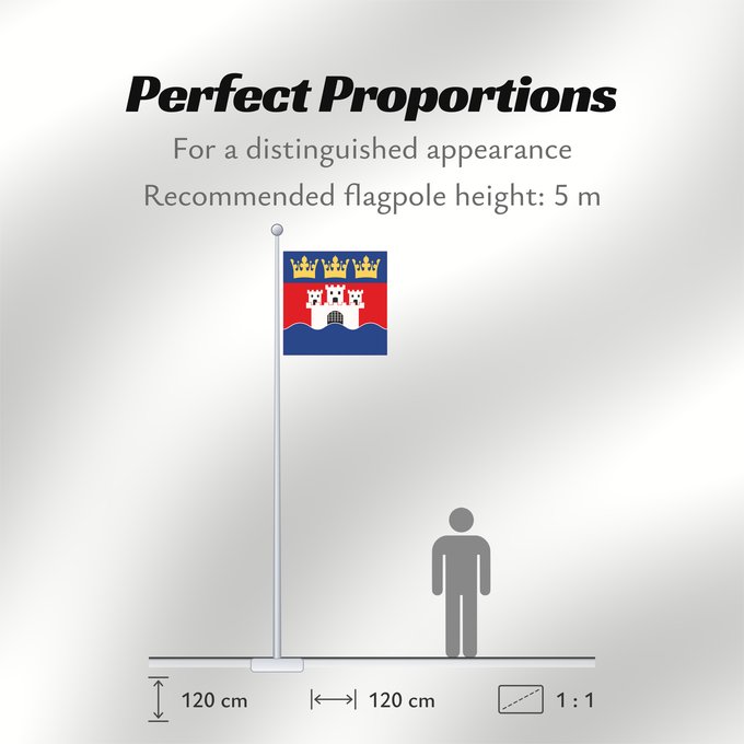 Flag Proportions: Jönköpings län vapenflagga	Jönköping County in Sweden	Jönköping	Jönköpings läns vapenflagga