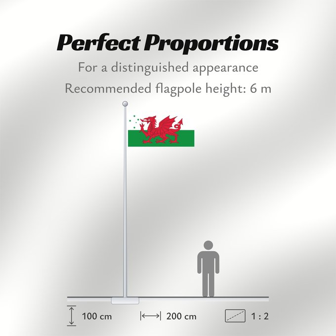Flag Proportions: Australian Welsh heritage