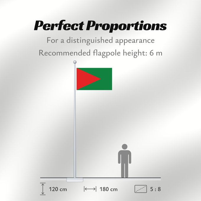 Flag Proportions: El Alto
