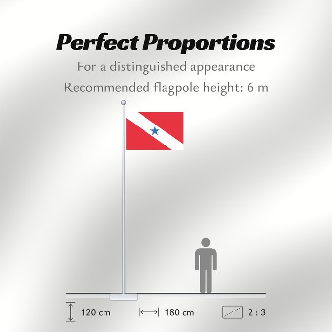 Flag Proportions: Pará