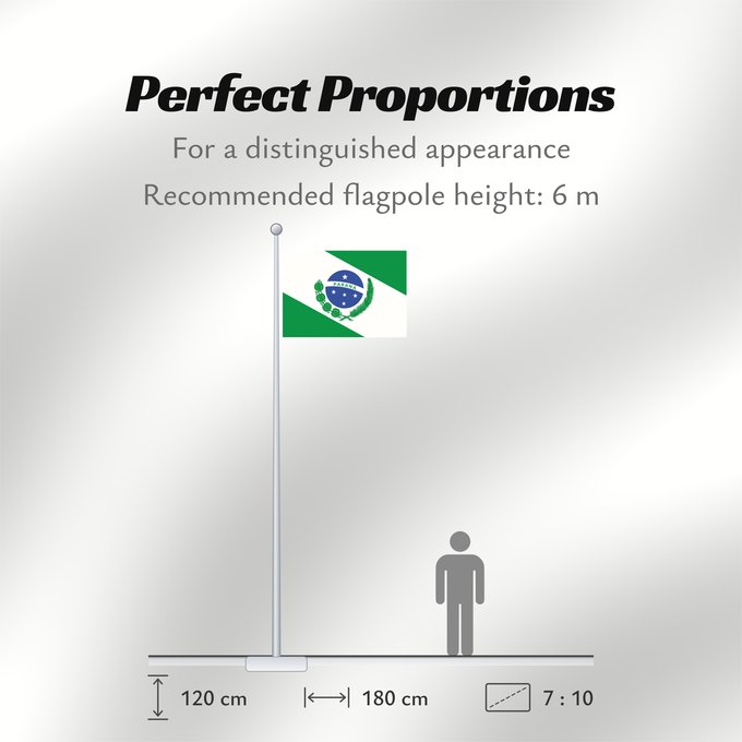 Flag Proportions: Paraná