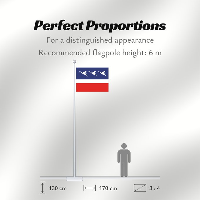 Flag Proportions: Guaratingueta SaoPaulo Brasil 2	Sao Paulo s city Guaratinguetá, Brazil	Guaratinguetá (2)	Município de Guaratinguetá no Estado de São Paulo