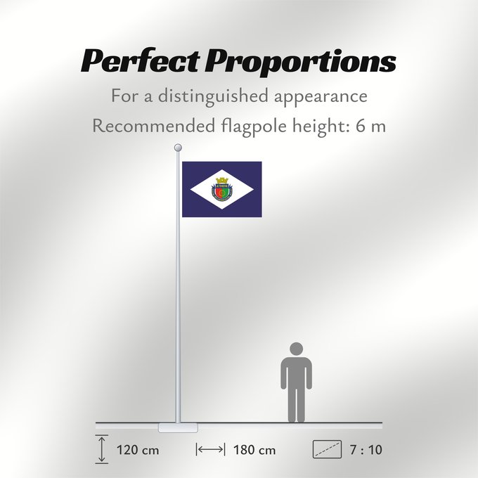 Flag Proportions: São Caetano do Sul	Município de São Caetano do Sul no Estado de São Paulo