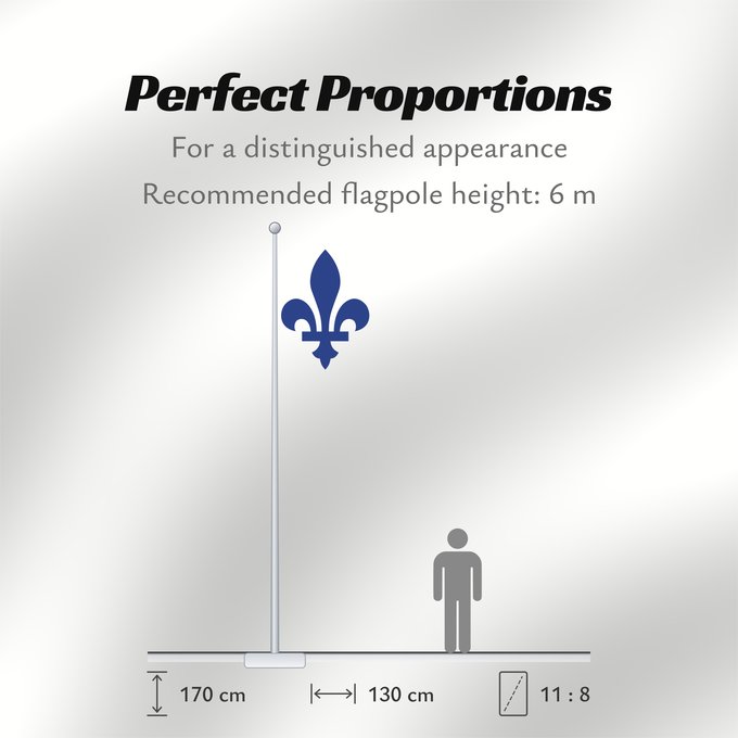 Flag Proportions: Fleur de lys du québec