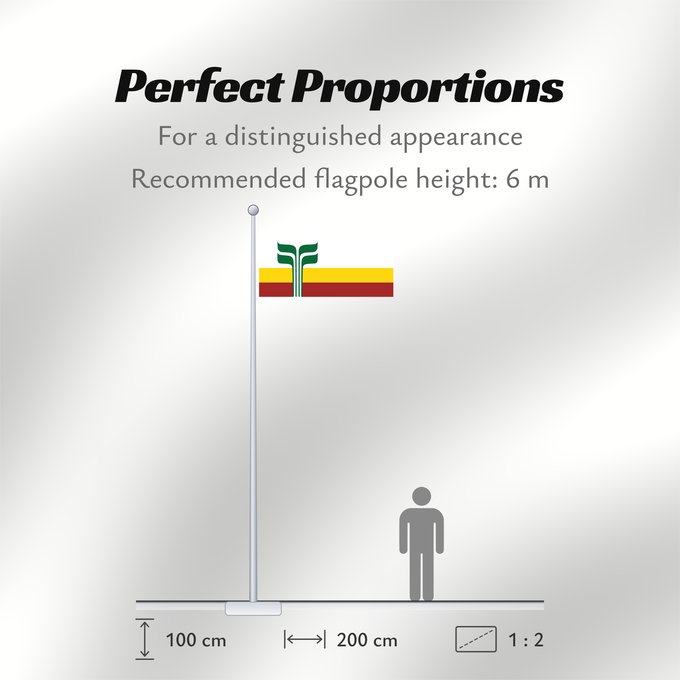 Flag Proportions: Franco-Manitobains