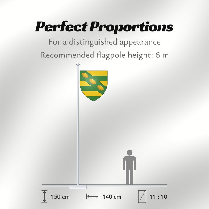 Flag Proportions: Norman Kwong Arms