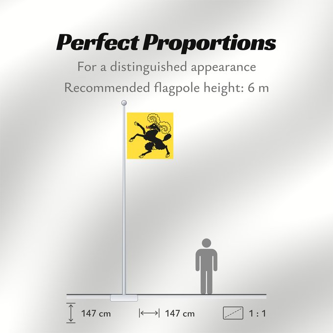 Flag Proportions: Canton of Schaffhausen	Schaffhausen	Schaffhouse	Canton of Schaffhausen in Switzerland