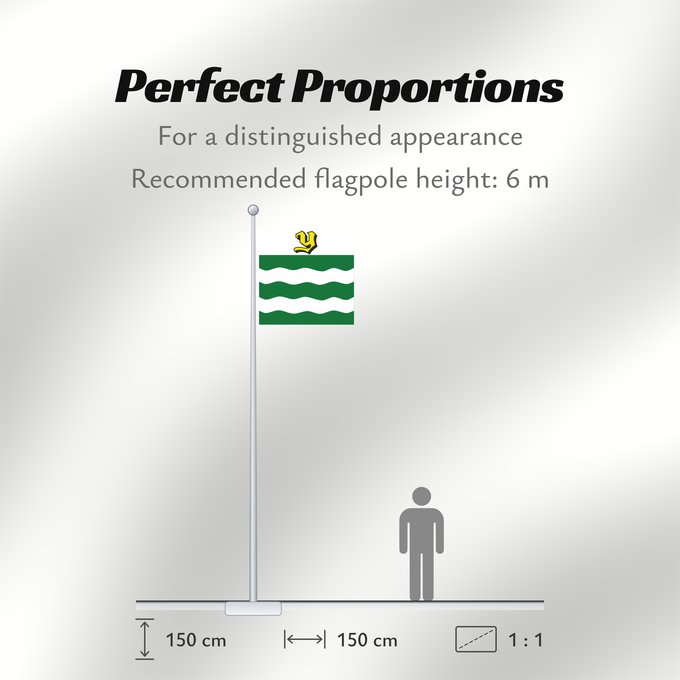 Flag Proportions: Yverdon-les-Bains Yverdon-les-Bains Switzerland