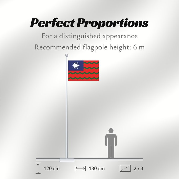 Flag Proportions: Taiwan customs office