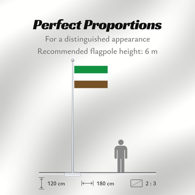 Flag Proportions: Arauquita  Arauca	Arauquita	Municipio de Arauquita  Arauca