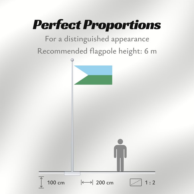 Flag Proportions: Cabuyaro Meta Cabuyaro Municipio de Cabuyaro Meta