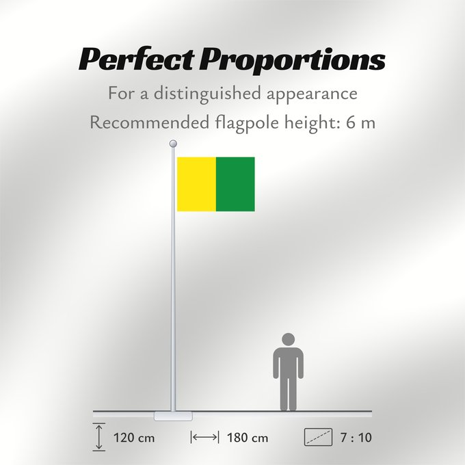 Flag Proportions: Caldas Caldas, Colombia