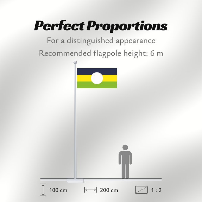 Flag Proportions: Caldono Cauca Caldono Municipio de Caldono Cauca