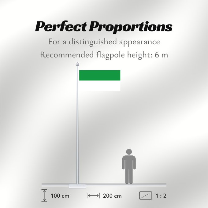 Flag Proportions: Cáqueza
