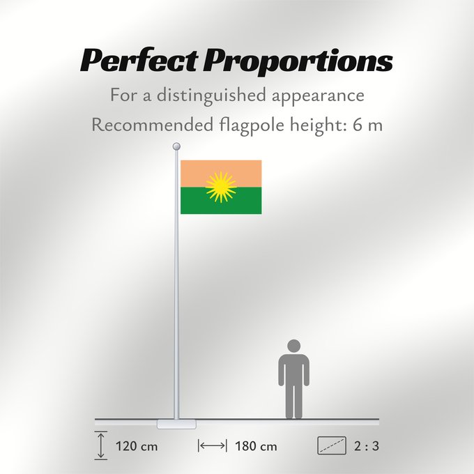 Flag Proportions: El Dorado Meta El Dorado (Meta) Municipio de El Dorado Meta